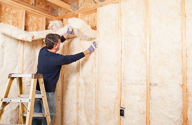 Best Attic Insulation Installation  in USA